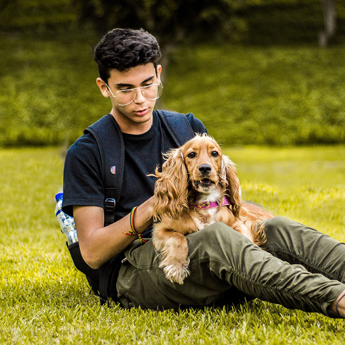 Profesionalni upravnik zgrade Beograd Logo